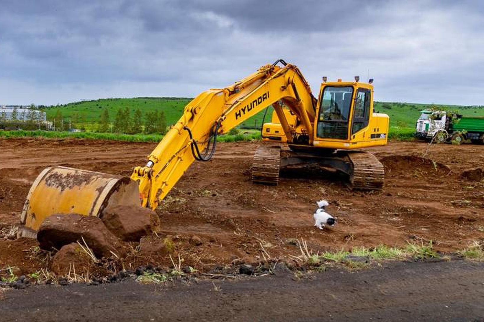 Falast eftir meira landi í Kópavogi