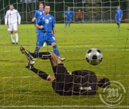 Ísland - Georgía 3-1