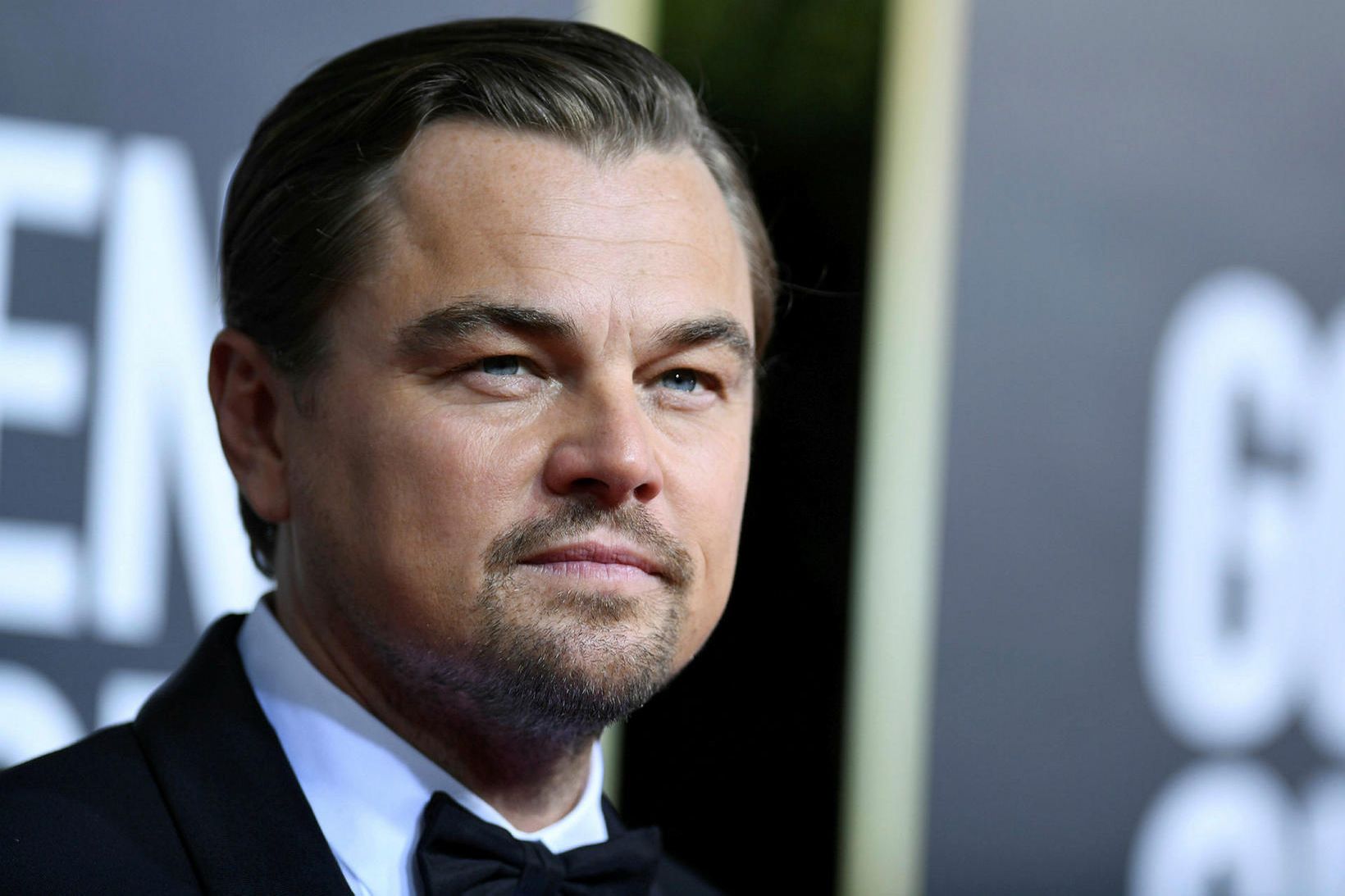 Leonardo DiCaprio er þekktur fyrir að vera mikill umhverfissinni.