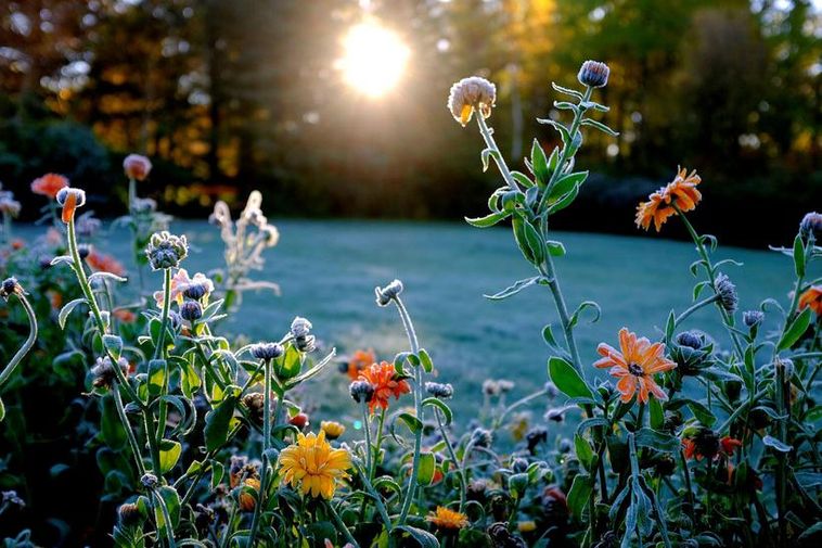 Takes Record For Latest Reykjavik Frost Ever Iceland Monitor