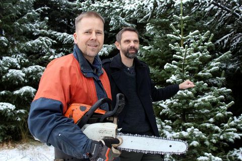 Lumberjacks Sævar Hreiðarsson and Helgi Gíslason on the hunt for suitable trees to chop down.