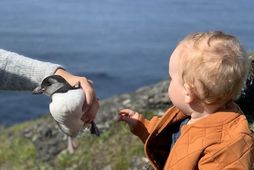 Það er skemmtilegur tími framundan.