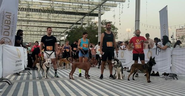Dogs and owners take on obstacle course in Dubai
