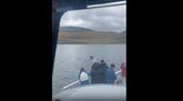 Hvalir komnir í Hvalfjörð