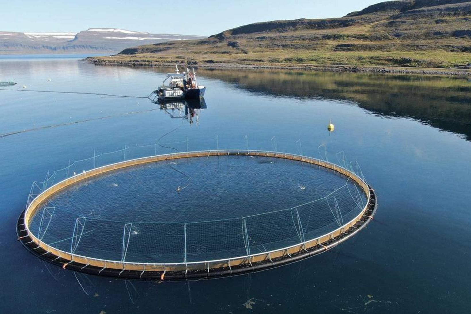Fiskeldissjóður veitir styrki til uppbyggingar innviða þar sem sjókvíaeldi er …