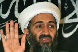 Osama bin Laden var ráðinn af dögum árið 2011.
