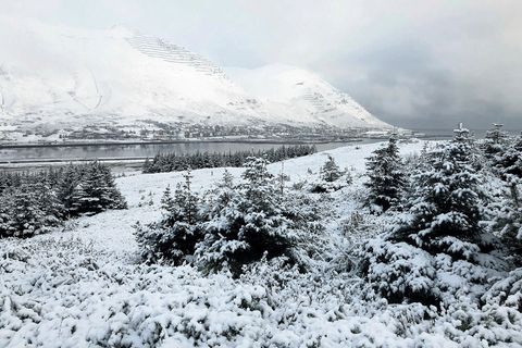 Siglufjörður, dressed in white this morning.