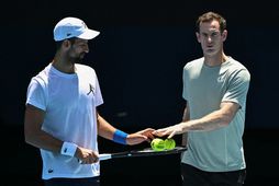 Novak Djokovic og Andy Murray.