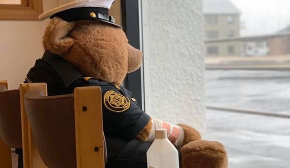 Lúlli löggubangsi situr út í glugga á Suðurnesjum