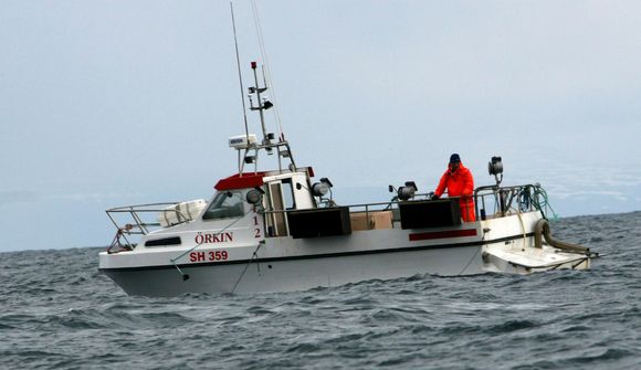 Fiskistofu gert að taka við aflaskráningu á vefnum