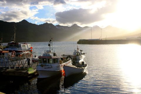 Head east to picturesque Stöðvarfjörður this weekend for a bit of hippy living.
