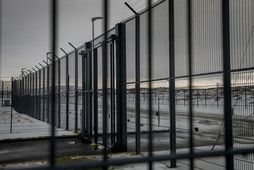 Árið 2024 afplánaði að meðaltali 31 erlendur ríkisborgari fangelsisrefsingu á hverjum degi.