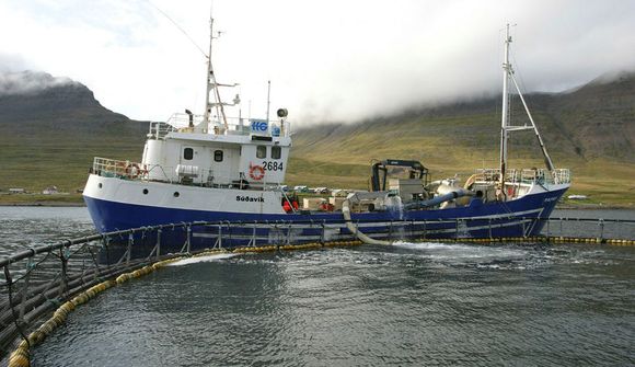 HG sækir að nýju um eldi í Djúpinu