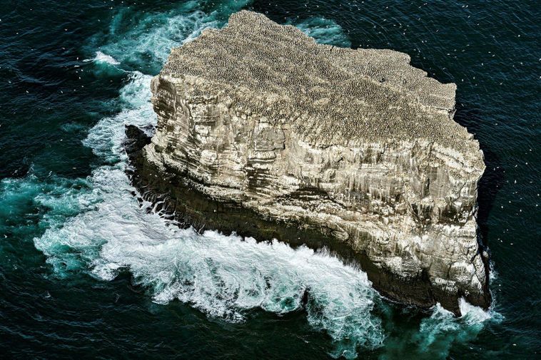 “Tectonic movements causing the quakes”