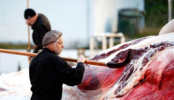 Óvíst hvort umsóknir verði afgreiddar fyrir kosningar