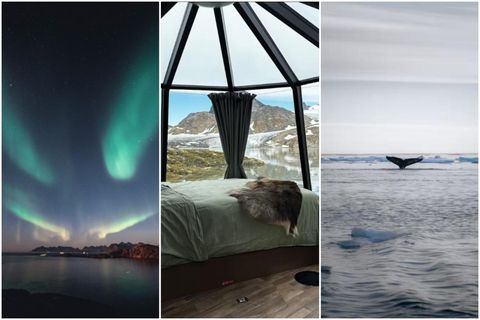 Hver veit nema hnúfubakur syndi fram hjá.