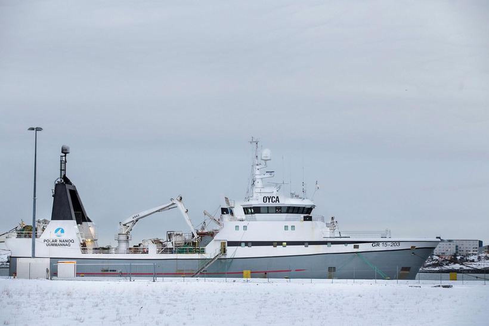 Mennirnir voru skipverjar á Polar Nanoq.