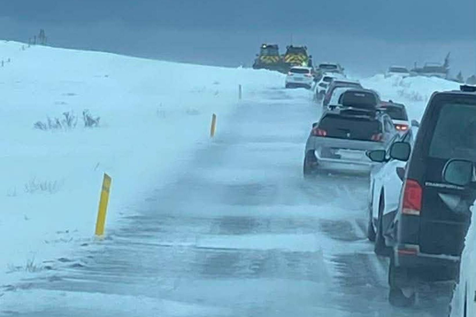 Féll af hestbaki og flutt með sjúkrabíl