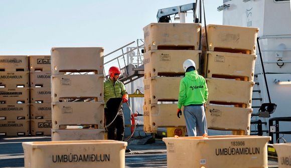 Leggja til bann við heimavigtun bolfisks