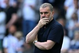 Ange Postecoglou.
