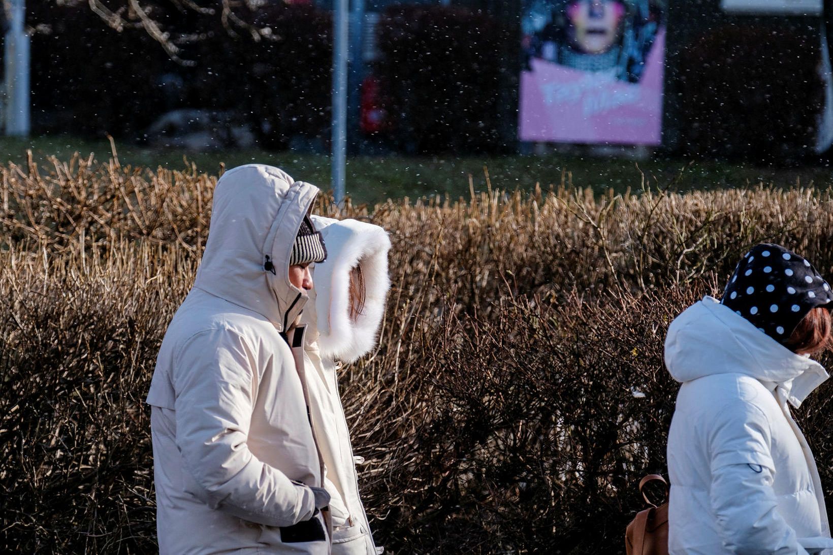 Frost verður á bilinu 2 til 14 stig.