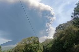 Indonesia's Mount Lewotobi Laki-Laki erupts again, spewing ash high into air