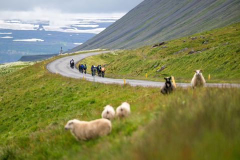 Westfjords Way Challenge er keppni þar sem menning spilar stórt hlutverk.
