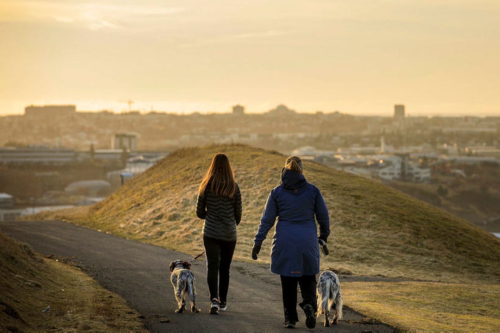 Styrkur svifryks mælist hár í mælistöðvum við Grensásveg, Njörvasund og …