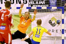 Grétar Ari Guðjónsson hefur á liðnum árum varið mörk franskra handboltaliða en færir sig líklega …