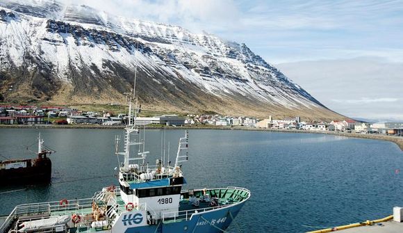 Fyrsta fiskeldisstarfið auglýst