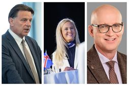 Þingmenn Suðurkjördæmis.