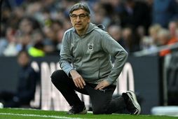 Króatinn Ivan Juric er hættur störfum hjá Southampton.