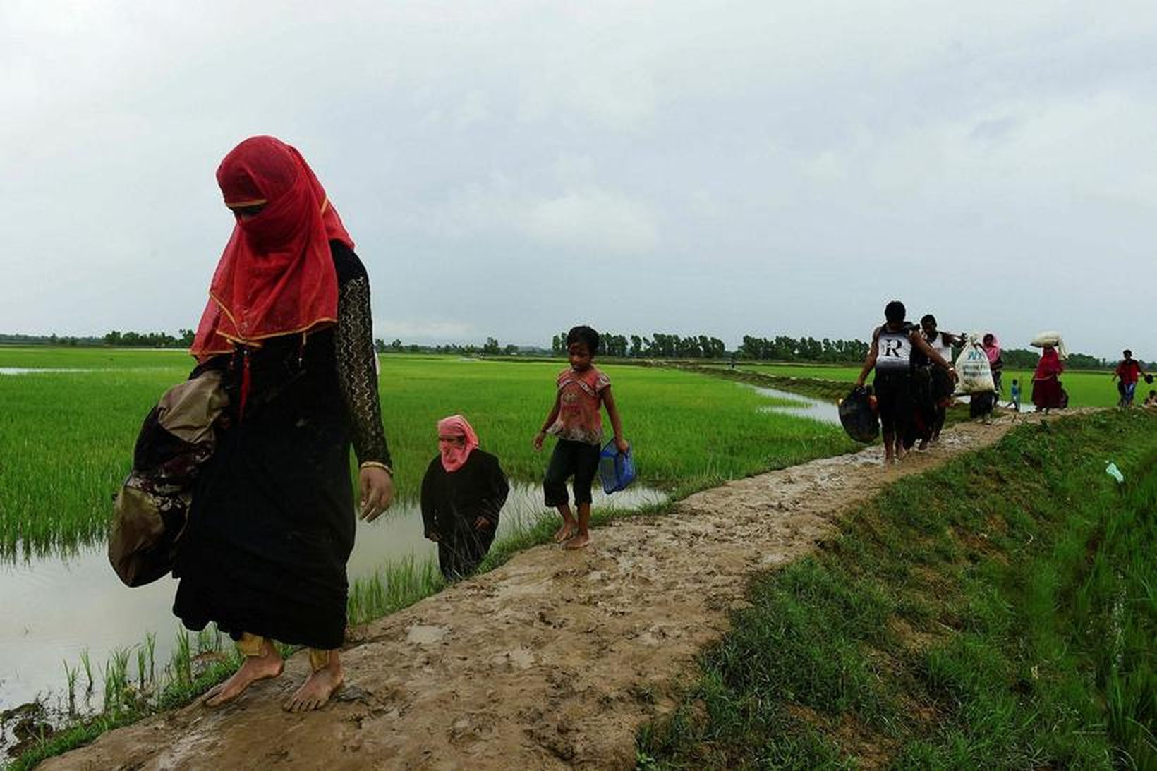 Rohingja-múslimar koma til Bangladess eftir að hafa farið yfir ána …