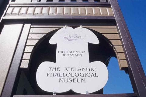 One of Reykjavik's stranger tourist attractions.