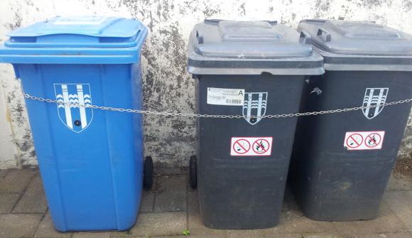 Fundu kettlinga í ruslaskýli