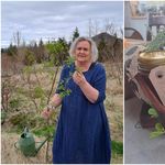 Stikilsberjasulta með engifer og límónu úr smiðju Brynju Döddu