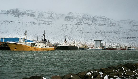 Hluthafar selja við skráningu Síldarvinnslunnar