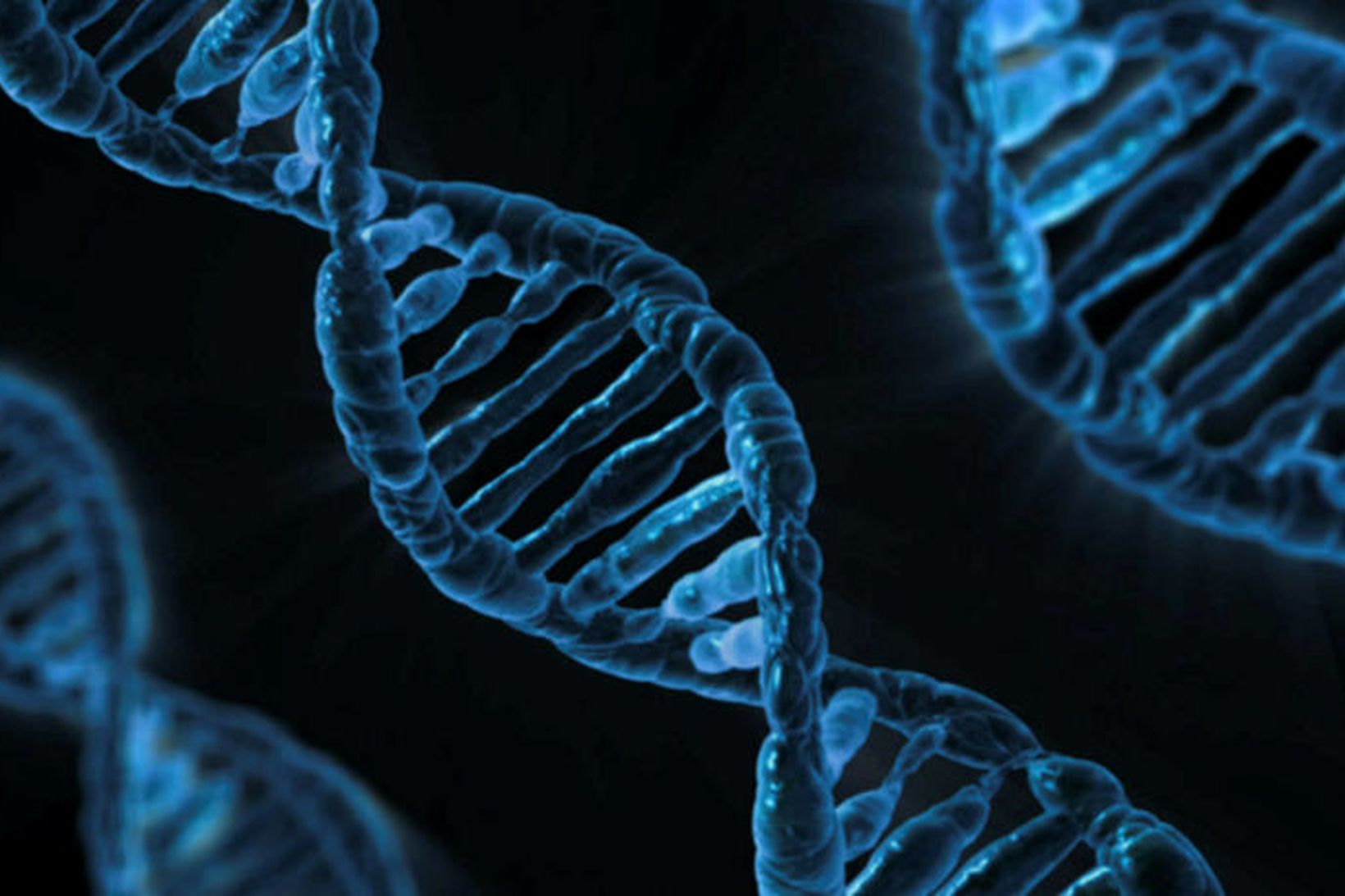 DNA-kjarnsýra varðveitir grunnupplýsingar um manninn.