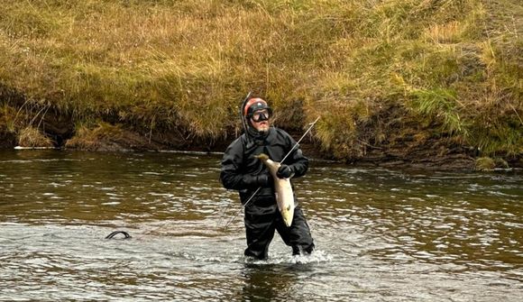 Krefjast skaðabóta vegna slysasleppinga