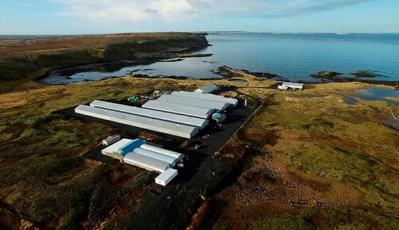 Færa seiðaeldið úr Kollafirði í Vogana