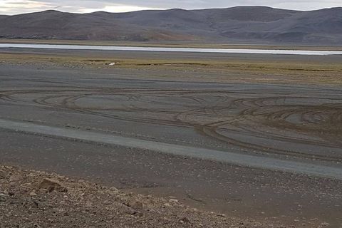 The tracks left by the vehicles in Grafarlönd, north of Herðubreið mountain on Monday.