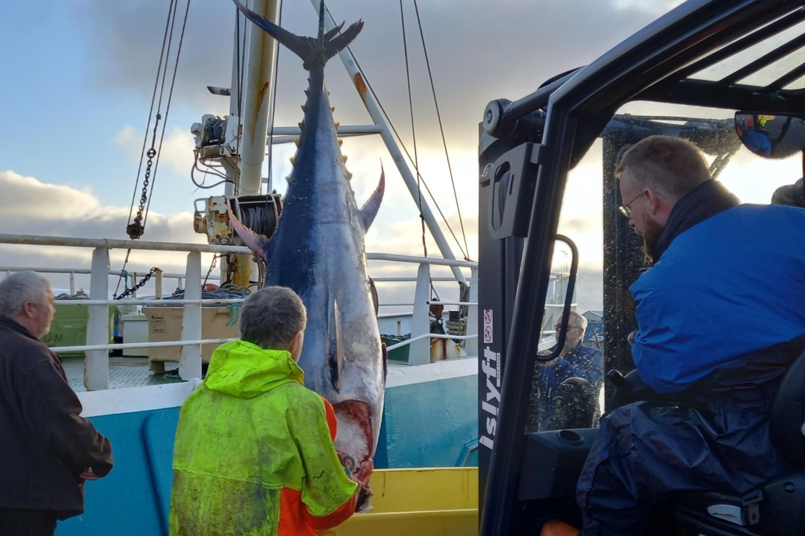 Túnfiskurinn var 2,5 metrar að lengd og fékks sunnan við …