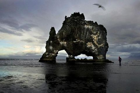 Hvítserkur is one of the best known natural pearls of the area.