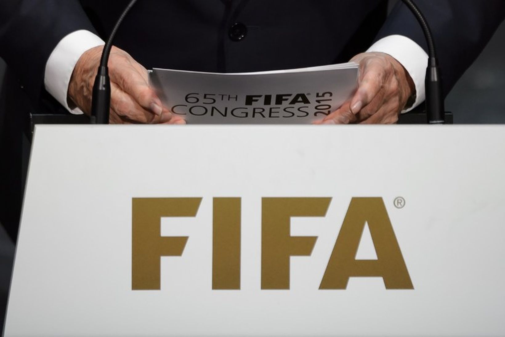 Forseti FIFA Sepp Blatter