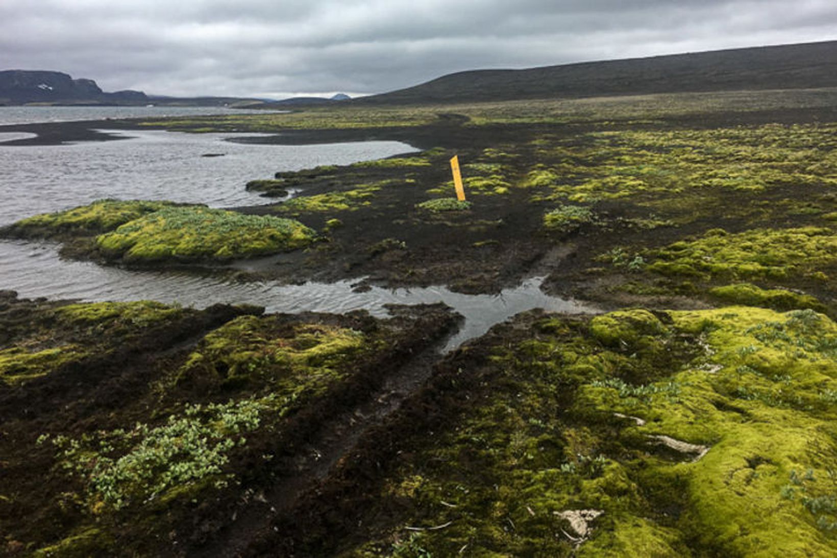 Ljót ummerki um utanvegaakstur við Litlasjó í sumar þar sem …