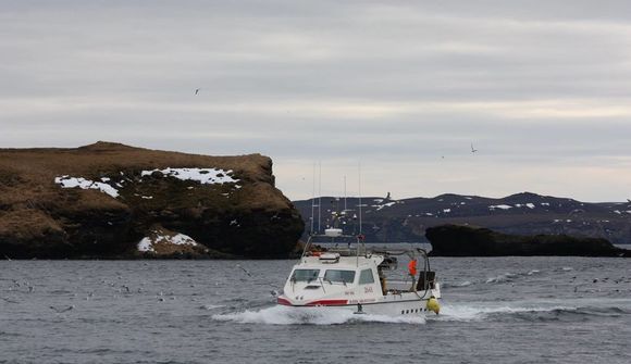 Þriðjungur aflans kominn á land