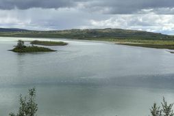 Hart er deilt um veiðirétt við Iðu þar sem Stóra-Laxá mætir Hvítá.