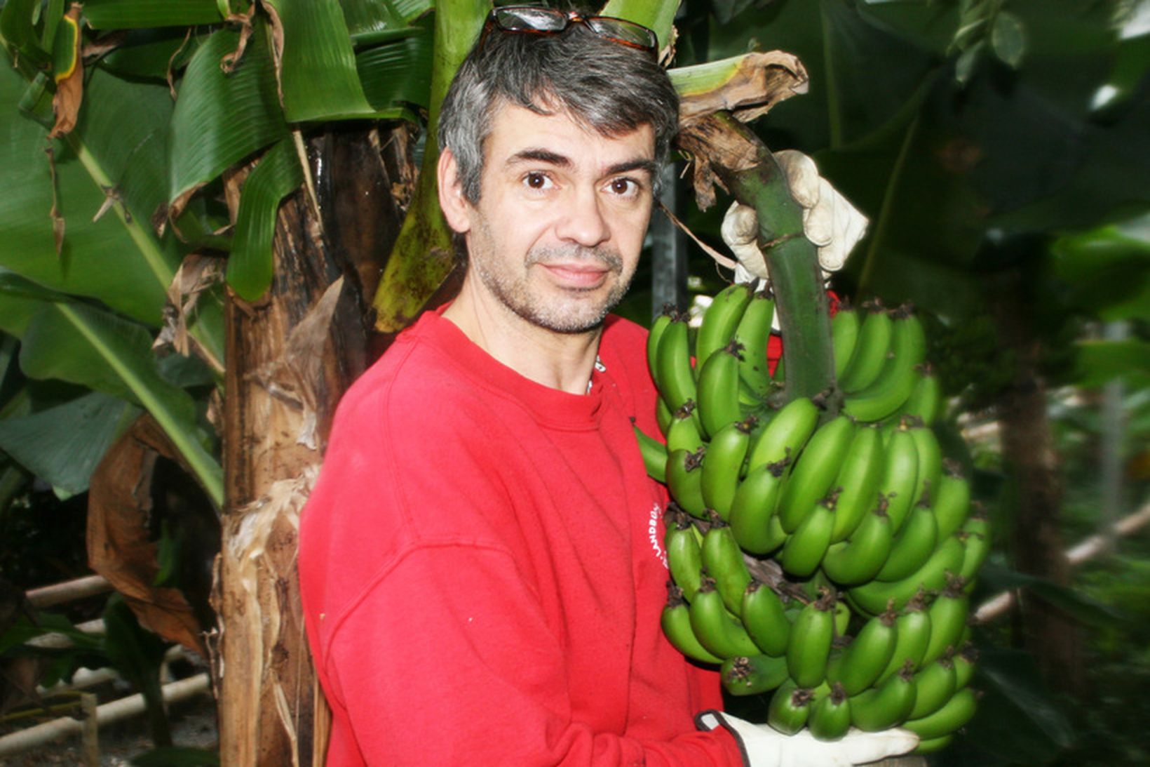 Elías Óskarsson með íslenska banana.