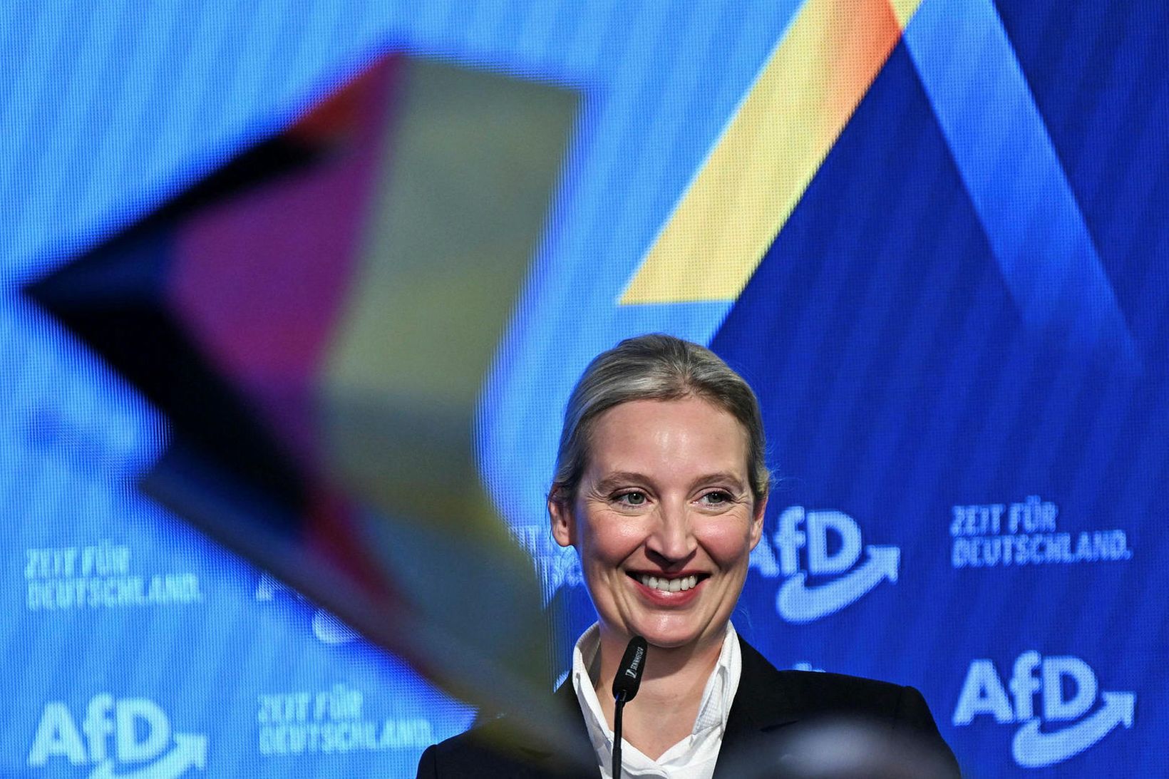 Alice Weidel, leiðtogi AfD.