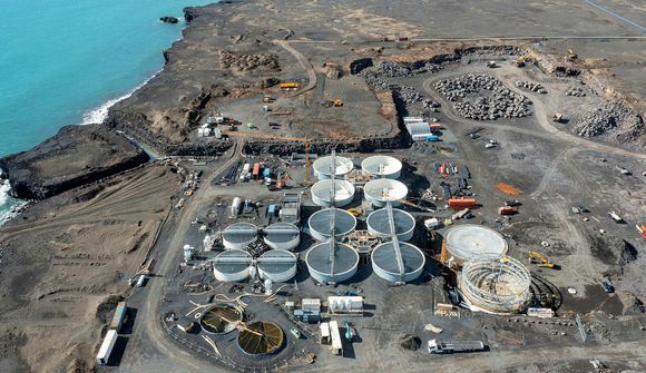 50 þúsund laxar í fyrstu slátrun